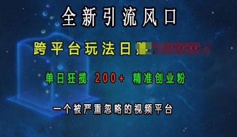 全新引流风口，跨平台玩法日入上k，单日狂揽200+精准创业粉，一个被严重忽略的视频平台-Ai创业网