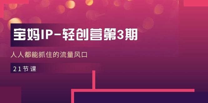 宝妈IP-轻创营第3期，人人都能抓住的流量风口(21节课-Ai创业网
