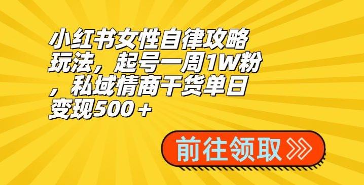 小红书女性自律攻略玩法，起号一周1W粉，私域情商干货单日变现500＋-Ai创业网