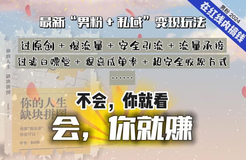 2024，“男粉+私域”还是最耐造、最赚、最轻松、最愉快的变现方式【揭秘】-Ai创业网