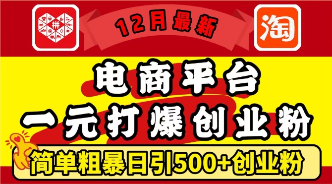 12月最新：电商平台1元打爆创业粉，简单粗暴日引500+精准创业粉，轻松月入过W【揭秘】-Ai创业网