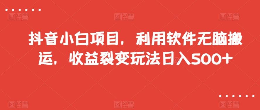 抖音小白项目，利用软件无脑搬运，收益裂变玩法日入500+【揭秘】-Ai创业网