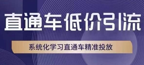 直通车低价引流课，系统化学习直通车精准投放-Ai创业网