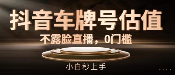 抖音车牌号估值，不露脸直播，0门槛，小白秒上手【揭秘】-Ai创业网