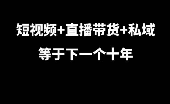 短视频+直播带货+私域等于下一个十年，大佬7年实战经验总结-Ai创业网