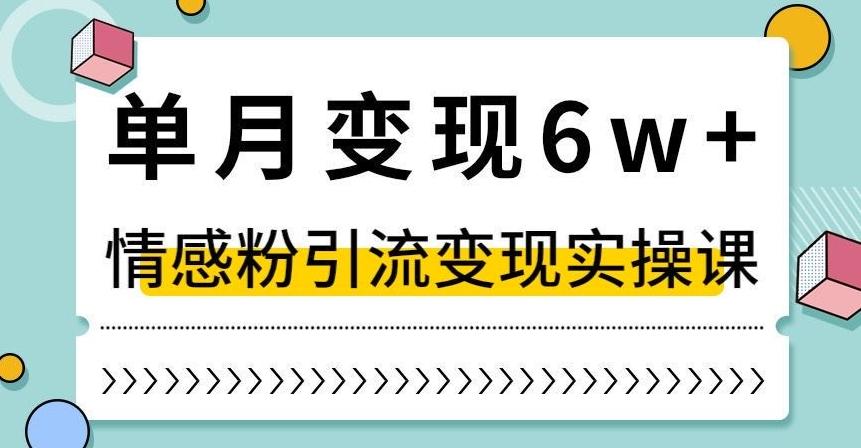 单月变现6W+，抖音情感粉引流变现实操课，小白可做，轻松上手，独家赛道【揭秘】-Ai创业网