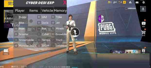 PUBG轻量老外裸奔绘制+自瞄 支持ROOT和框架 里面有全局离线-Ai创业网