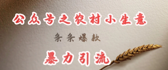 deepseek写农村小项目，条条爆款，暴力引流-Ai创业网