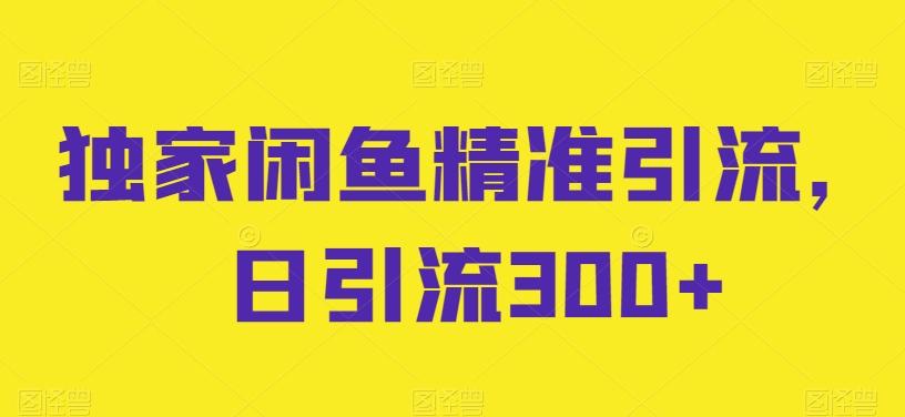 独家闲鱼精准引流，日引流300+【揭秘】-Ai创业网