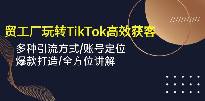 外贸工厂玩转TikTok高效获客，多种引流方式/账号定位/爆款打造/全方位讲解-Ai创业网
