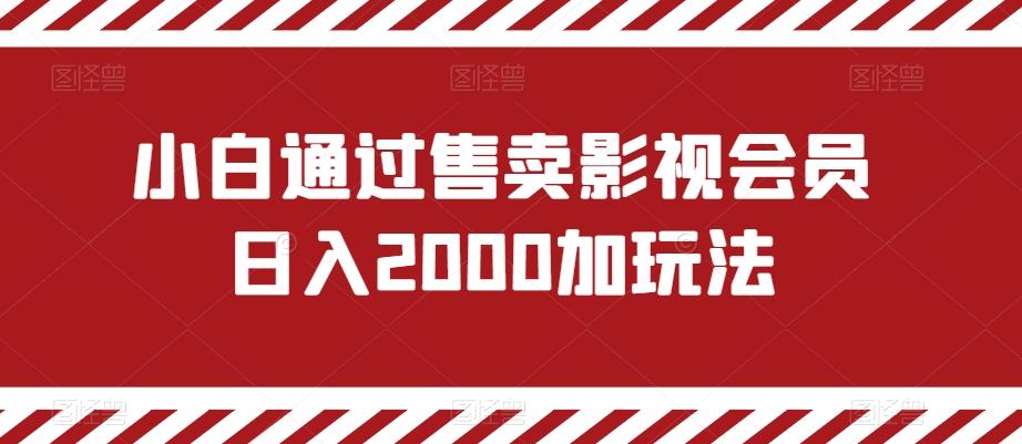 小白通过售卖影视会员日入2000加玩法-Ai创业网