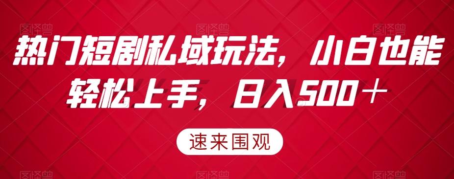 热门短剧私域玩法，小白也能轻松上手，日入500＋-Ai创业网