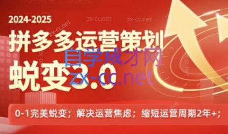 大力老师·2024拼多多运营策略蜕变3.0-Ai创业网
