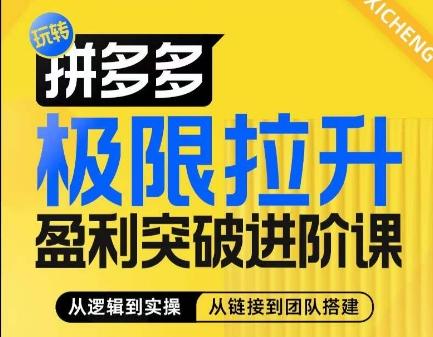 拼多多极限拉升盈利突破进阶课，​从算法到玩法，从玩法到团队搭建，体系化系统性帮助商家实现利润提升-Ai创业网