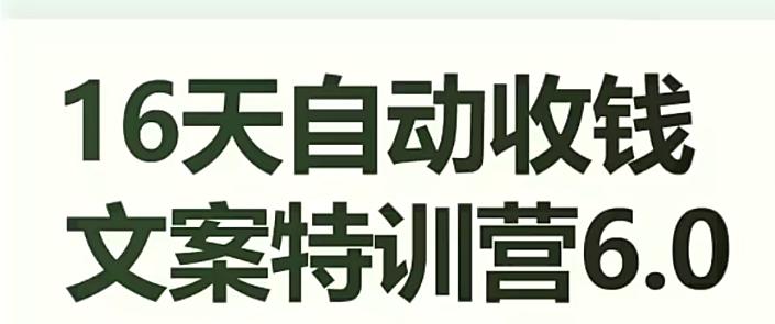 16天自动收钱文案特训营6.0，学会儿每天自动咔咔收钱-Ai创业网