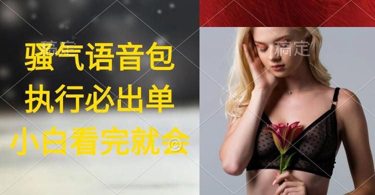 (9589期)执行就出单，日入2000+，超火骚气语音包，小白看完课程就能马上实操-Ai创业网