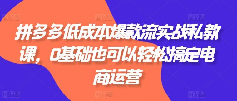 拼多多低成本爆款流实战私教课，0基础也可以轻松搞定电商运营-Ai创业网