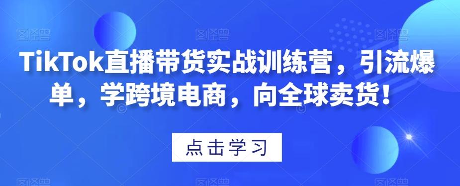 TikTok直播带货实战训练营，引流爆单，学跨境电商，向全球卖货！-Ai创业网