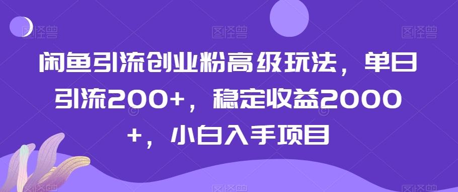 闲鱼引流创业粉高级玩法，单日引流200+，稳定收益2000+，小白入手项目-Ai创业网
