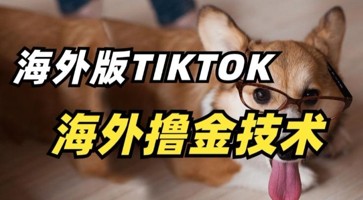 抖音海外版tiktok撸金技术，这个风口行业，赚钱真的不难【揭秘】-Ai创业网