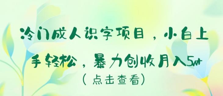 冷门成人识字项目，小白上手轻松，暴力创收月入5w+【揭秘】-Ai创业网