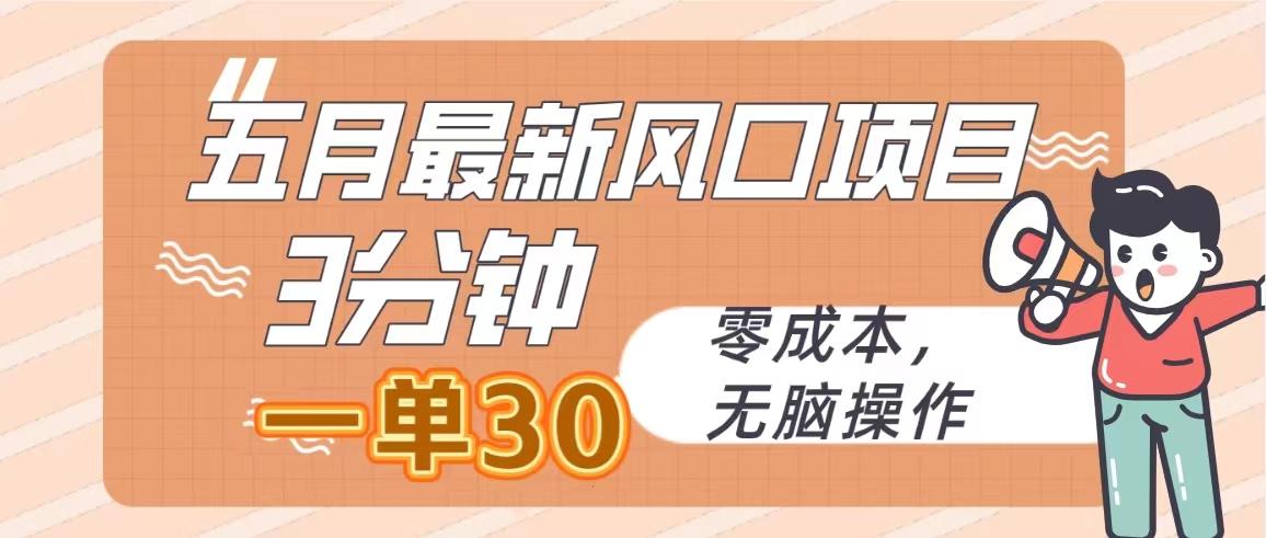 五月最新风口项目，3分钟一单30，零成本，无脑操作-Ai创业网