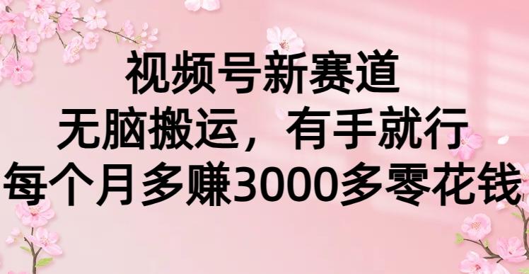 (9278期)视频号新赛道，无脑搬运，有手就行，每个月多赚3000多零花钱-Ai创业网