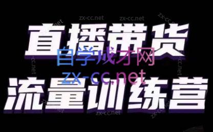 婉婉·直播带货课程系列合集(更新8月)-Ai创业网