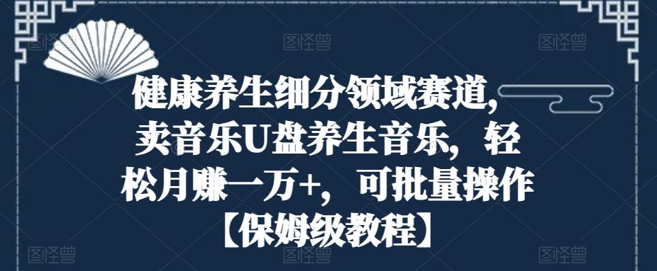 健康养生细分领域赛道，卖音乐U盘养生音乐，轻松月赚一万+，可批量操作【保姆级教程】-Ai创业网