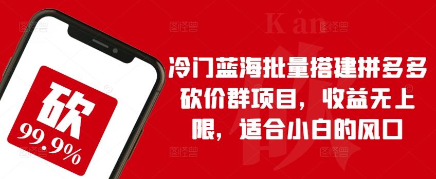 冷门蓝海批量搭建拼多多砍价群项目，收益无上限，适合小白的风口【揭秘】-Ai创业网