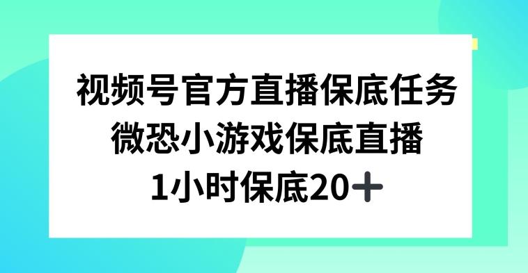 视频号直播任务，微恐小游戏，1小时20+【揭秘】-Ai创业网
