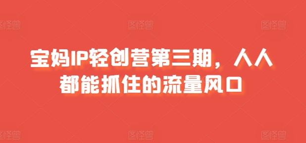 宝妈IP轻创营第三期，人人都能抓住的流量风口-Ai创业网