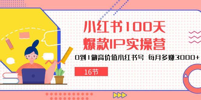 小红书100天-爆款IP实操营，0到1做高价值小红书号 每月多赚3000+(16节-Ai创业网