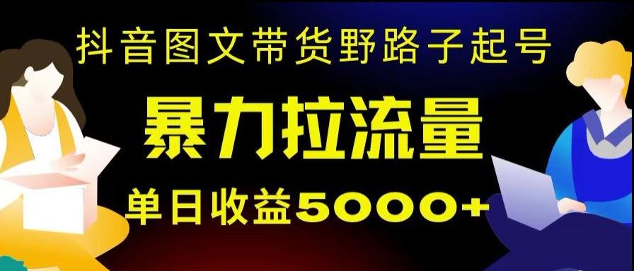 抖音图文带货暴力起号，单日收益5000+，野路子玩法，简单易上手，一部手机即可【揭秘】-Ai创业网