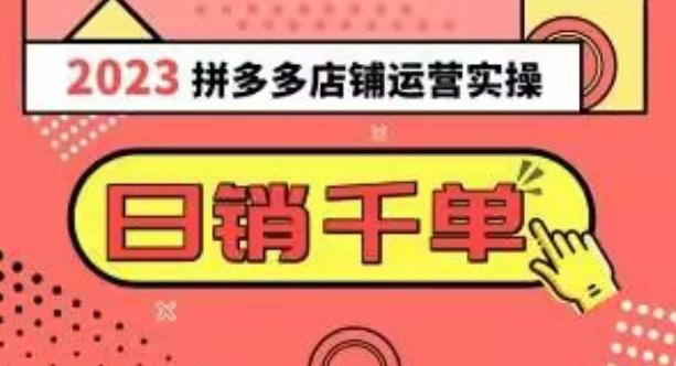 2023拼多多运营实操，每天30分钟日销1000＋，爆款选品技巧大全（10节课）-Ai创业网