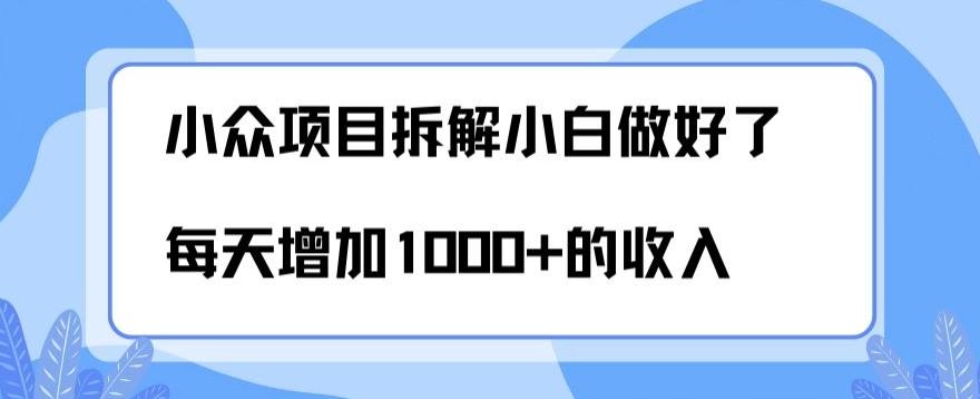 小众项目拆解，小白做好了每天可增加1000多的收入-Ai创业网