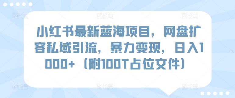 小红书最新蓝海项目，网盘扩容私域引流，暴力变现，日入1000+(附100T占位文件)【揭秘】-Ai创业网