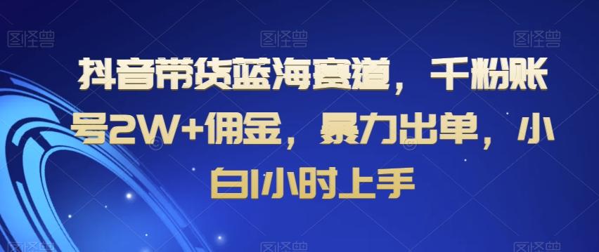抖音带货蓝海赛道，千粉账号2W+佣金，暴力出单，小白1小时上手【揭秘】-Ai创业网