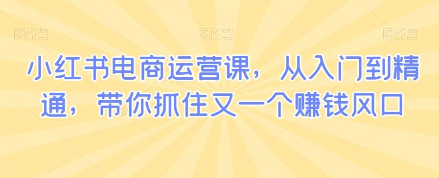 小红书电商运营课，从入门到精通，带你抓住又一个赚钱风口-Ai创业网