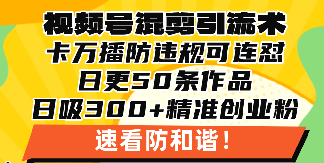 视频号混剪引流技术，500万播放引流17000创业粉，操作简单当天学会-Ai创业网
