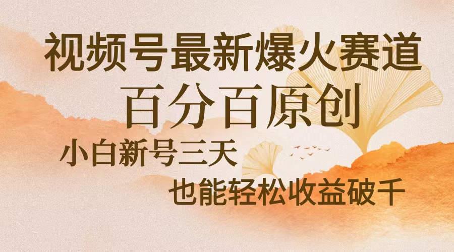 视频号最新爆火赛道，中老年粉深信不疑，百分百原创，新号三天收益轻松...-Ai创业网