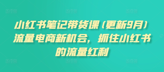 小红书笔记带货课(更新9月)流量电商新机会，抓住小红书的流量红利-Ai创业网