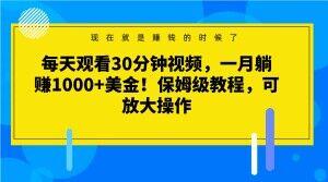 每天观看30分钟视频，一月躺赚1000+美金！保姆级教程，可放大操作【揭秘】-Ai创业网