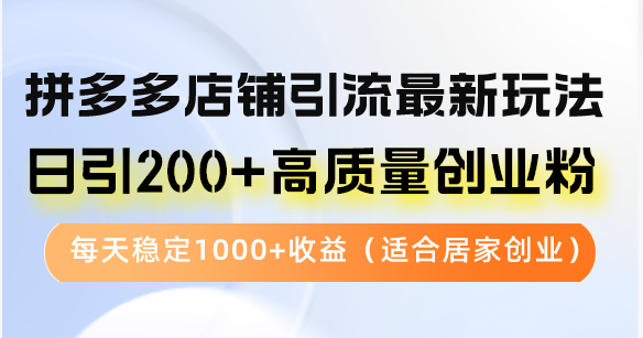 拼多多店铺引流最新玩法，日引200+高质量创业粉，每天稳定1000+收益(...-Ai创业网