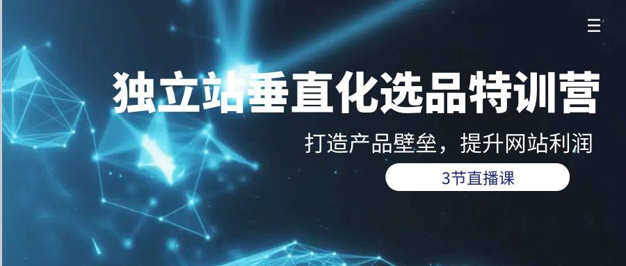 (9925期)独立站-垂直化选品训练营，打造产品壁垒，提升网站利润(3节直播课)-Ai创业网