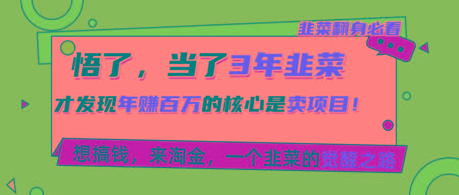 悟了，当了3年韭菜，才发现网赚圈年赚100万的核心是卖项目，含泪分享！-Ai创业网