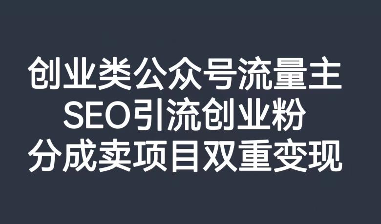 创业类公众号流量主，SEO引流创业粉，分成卖项目双重变现【揭秘】-Ai创业网