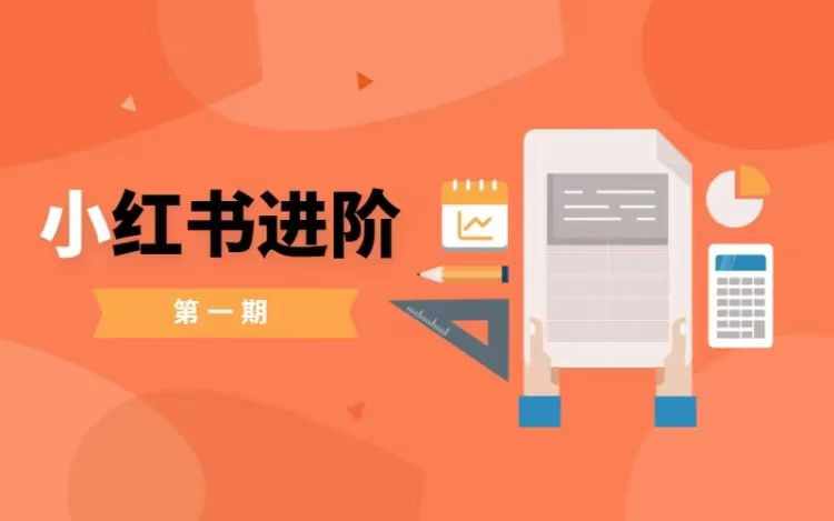 小红书进阶篇，零基础小白实战课，普通人变现的课程-Ai创业网