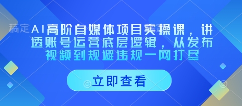 AI高阶自媒体项目实操课，讲透账号运营底层逻辑，从发布视频到规避违规一网打尽-Ai创业网