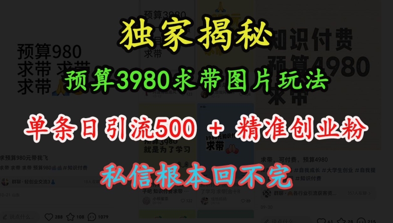 预算3980求带 图片玩法，单条日引流500+精准创业粉，私信根本回不完-Ai创业网
